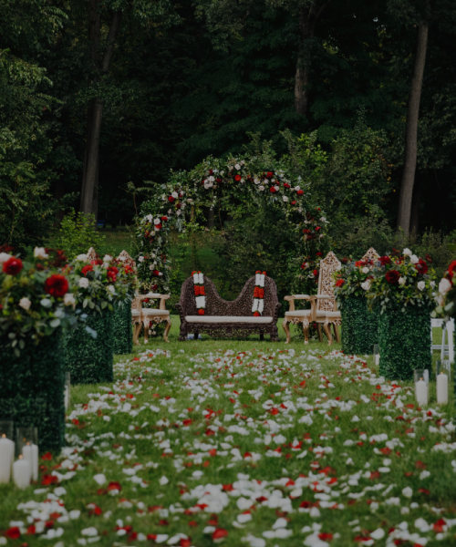 Image hover effect image